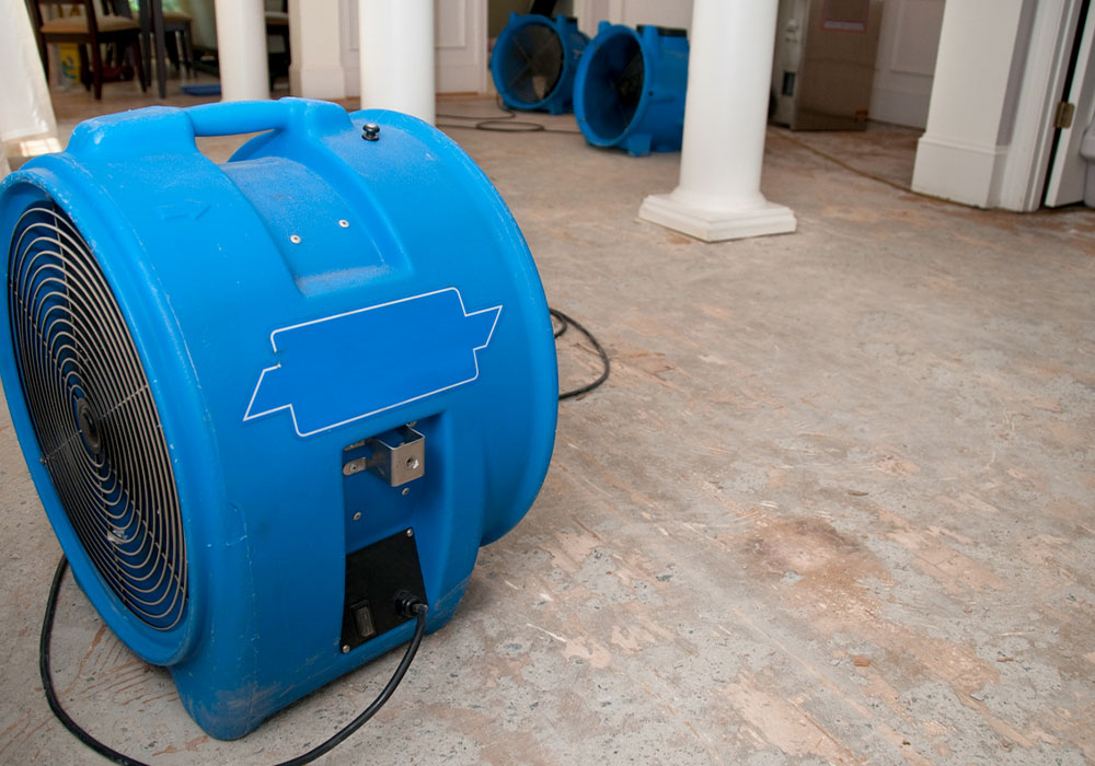 Structural Drying & Dehumidification | West Palm Beach, FL  - Image-StructuralDrying