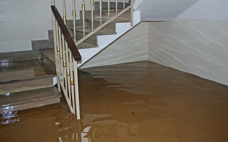 Fire & Water Damage Restoration Services in Jupiter, FL - jupiter-image-2